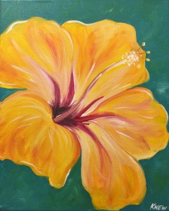 Hibiscus