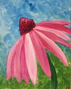 Pink Cone Flower