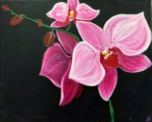 The Orchid