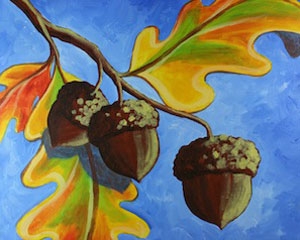 acorn trio