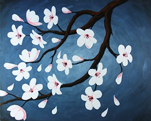 cherry blossoms (3)