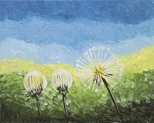 dandelion trio