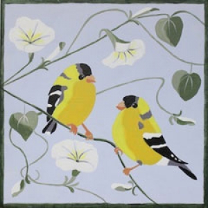 finches and morning glories