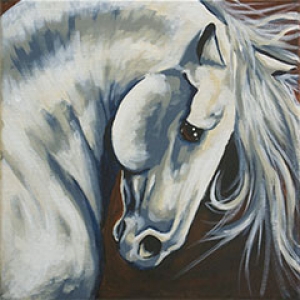 majestic stallion