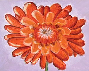 orange mum