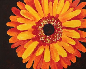 pink gerbera daisy design variation 1