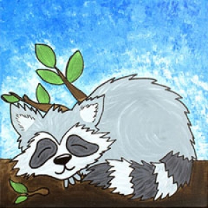 snoozing raccoon