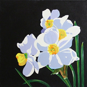 white daffodils